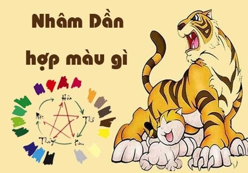 màu may mắn tuổi dần