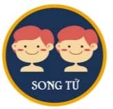 nghề nghiệp phù hợp song tử