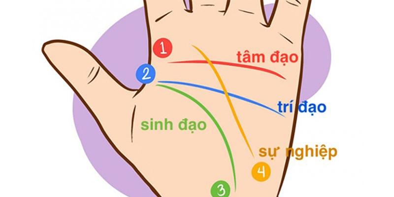 Xem đường chỉ luận công danh