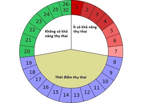 Canh ngày rụng trứng để sinh con trai