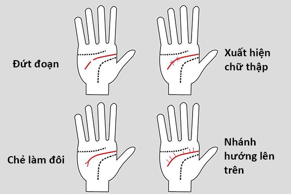 đường chỉ tay định mệnh