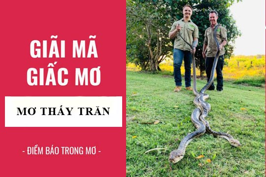 ngủ mơ thấy trắn