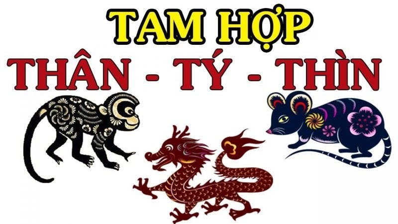 Tam hợp tuổi Thìn