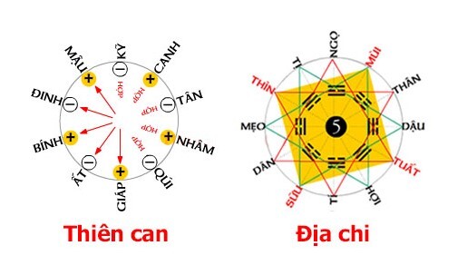 Tìm hiểu rõ vê Thiên Can Địa Chi