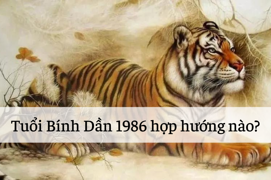 Hướng Bắc rất phù hợp với nữ mạng Bính Dần 1986