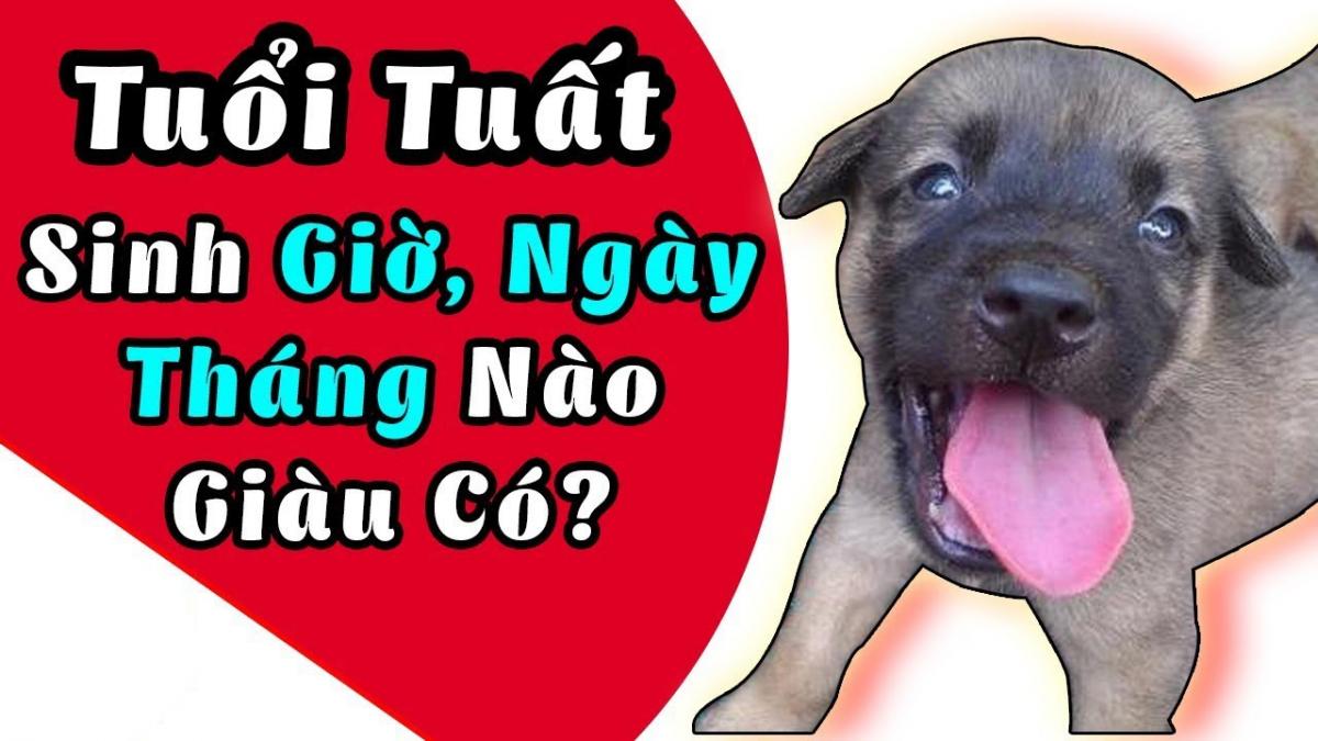 Vận mệnh người tuổi Tuất qua tháng sinh