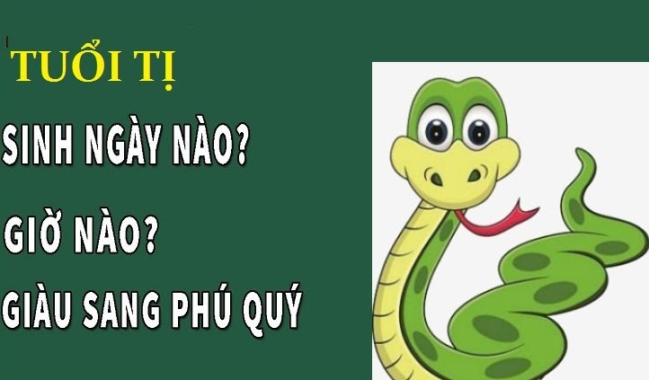 Vận mệnh người tuổi Tỵ theo giờ sinh